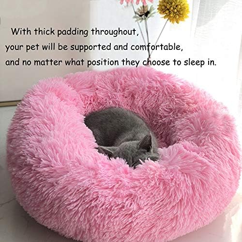 Cat Bed for Indoor Cats,Mini Plush Self Warming Kitten Bed, 20 Inch