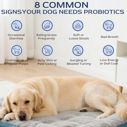 Petnanny Probiotics for Dogs Chicken Flavor Soft Chews for Digestive Health