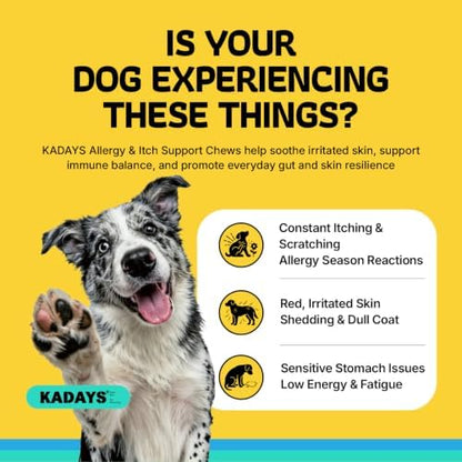 Meat-Free Dog Allergy Chews - 180Ct - Sensitive Skin & Gut Support, Chicken