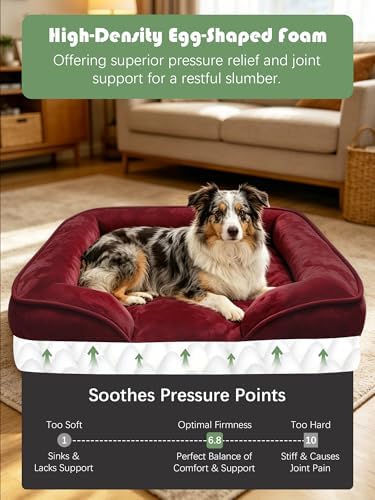 Spotted Play Orthopedic Dog Bed with Sides - Sofa Beds for Large Dogs, Supportive Foam Pet Couch Bed with Washable Removable Cover, Waterproof Lining and Non-Slip Bottom, Burgundy - L
