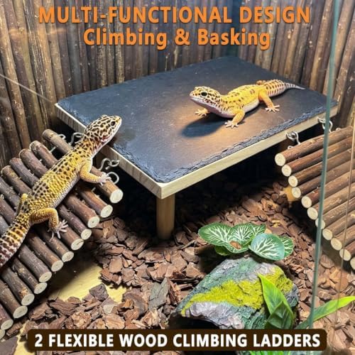 Bearded Dragon Basking Platform with Climbing Ramp,Reptile Basking Rock,S