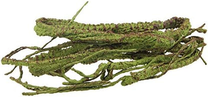 emours Flexible Realistic Jungle Vines Pet Habitat Decor for Lizard,Frogs, Snakes,Chameleons and More Reptiles, 3.6ft Long