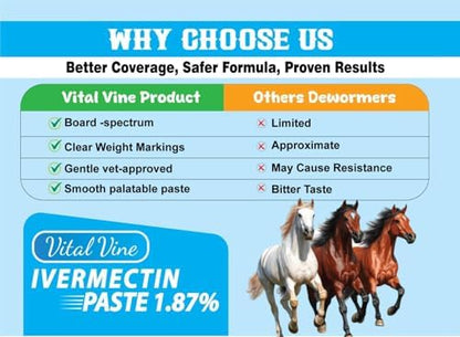 VITALVINE Ivermectin 1.87% Paste for Horses – Apple Flavor 6.08g Syringe, Treats Horses Up to 1250 lbs (1-Pack)