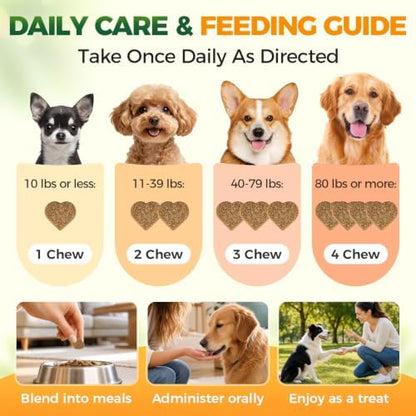 Probiotics for Dogs, 6-Strain Gut Health Blend with Digestive Enzymes, Pumpkin & Papaya, Chicken Flavor Chewable Tablets, 200 Count, Supports Digestive Health for All Breeds