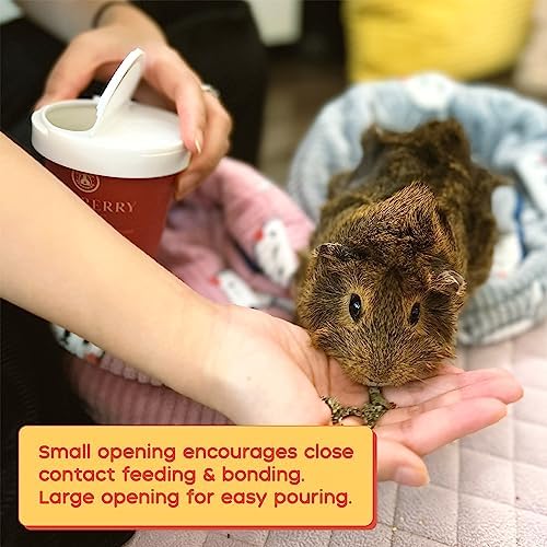 GuineaDad Organic Guinea Pig Herbal Treats - Guinea Pig Food with Convenient Packaging - Raspberry Leaf Flavor - 16 fl. oz - Guinea Pig Treats Help with Bonding - High in Nutrition and Fiber - Large