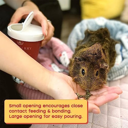 GuineaDad Organic Guinea Pig Herbal Treats - Guinea Pig Food with Convenient Packaging - Raspberry Leaf Flavor - 16 fl. oz - Guinea Pig Treats Help with Bonding - High in Nutrition and Fiber - Large