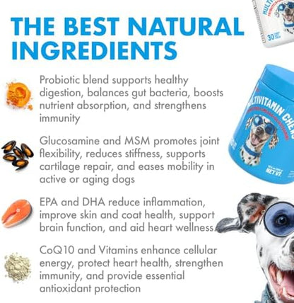 LEGITPET Dog Vitamins - 30 Multivitamins Chews w/Glucosamine Chondroitin, Probiotics Digestive Enzymes and Omegas - Supplement for Overall Health - Joint Support, Immune Health, Skin and Heart Health