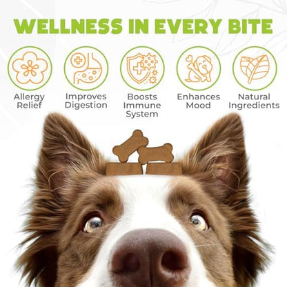 Dog Allergy Chews - 150 Pcs - Allergy Relief for Dogs - Supplements for Itchy Skin & Paw Licking - US Formula with Probiotics, Natural Ingredients & Vitamins - Chicken Flavor