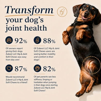Zubest Hip & Joint Chews for Dogs, Glucosamine Chondroitin MSM, 60 Count
