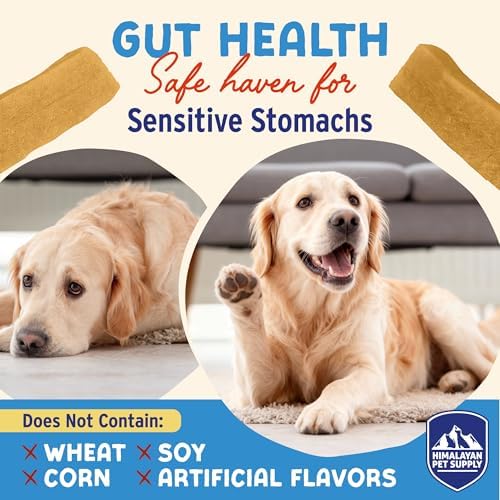 Himalayan Dog Chew Yogurt Sticks, Probiotic Treats, Apple Honey, 5 Treats