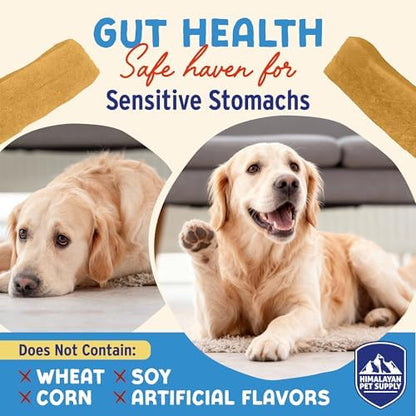 Himalayan Dog Chew Yogurt Sticks, Probiotic Treats, Apple Honey, 5 Treats