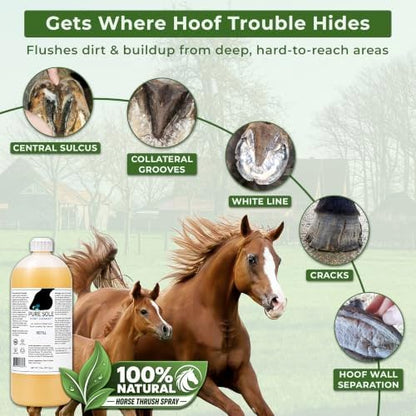 Pure Sole Hoof Cleanse Refill |Horse Hoof Cleaner |All Natural Thrush Treatment for Horses, Use for White Line, Abscess Treatment, Cracks, and Hoof Wall Separation - 32 oz Refill