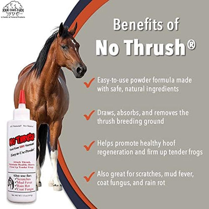 Four Oaks Farm Ventures, No Thrush Dry Powder Treatment for Horses - Wound Care, Scratches, Rain Rot, Mud Fever, Coat Issues - All Natural Ingredients, Non-caustic, Easy to Use Powder Formula (5.5 oz)