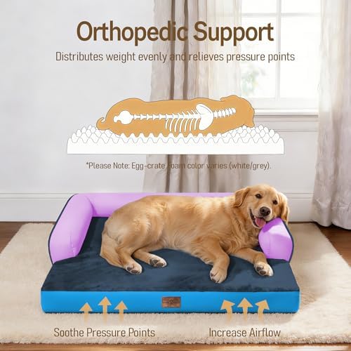 Comfort Expression Washable Dog Bed with Bolster for Medium to Large Dogs