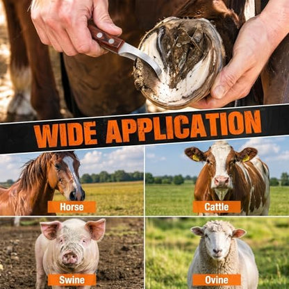 ZENFUN Hoof Knife with Sharpener, Double Edged Hoof Trimming Knife with Wooden Handle & 400/1000 Diamond Grit Rod, 8 Inch Farrier Tool Kit, Stainless Steel Blade Hoof Knife for Horses, Cattle Care