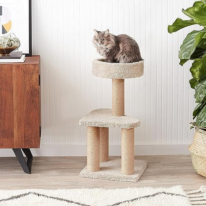 Amazon Basics Cat Tree - Multi-Level Climbing Activity Tower with Jute Rope Scratching Posts for Indoor Cats & Kittens, Medium (31.5"H), Beige