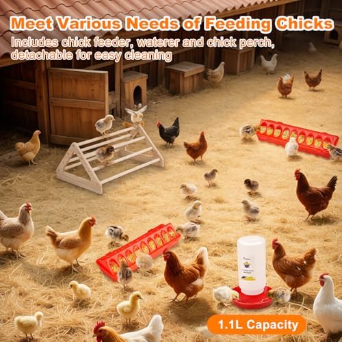 Pawaboo 6-in-1 Chicken Brooder Box for Chick Starter Kit