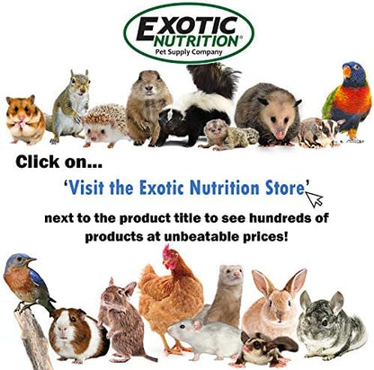 Exotic Nutrition Mealworm Chow 1 lb. - Highly Nutritional Healthy Feed for Breeding Live Feeder Mealworms (1 lb)