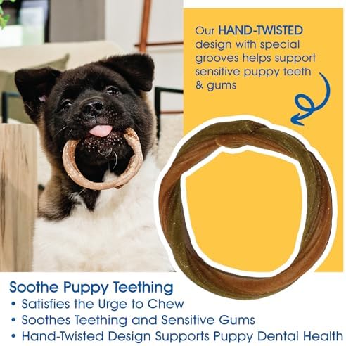 N-Bone Puppy Teething Rings Taste of Texas Chicken Fajitas Flavor 3 Count (Pack of 2)