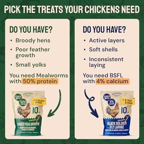 Hatortempt 5lb Dried Mealworms for Chickens & Wild Birds, Chicken Feed