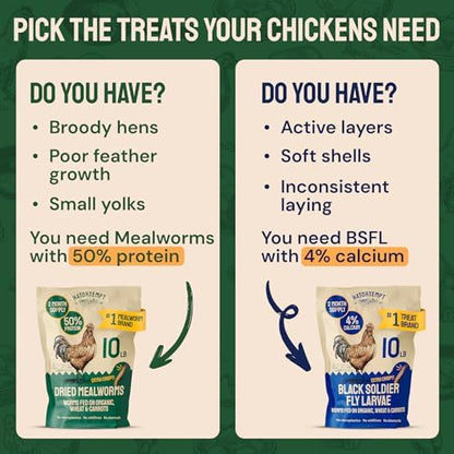 Hatortempt 20lb Dried Mealworms for Chickens & Wild Birds, Chicken Feed
