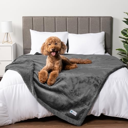 PetAmi Waterproof Dog Blanket for Large Dog Pet, 90x90 Queen, Dark Grey