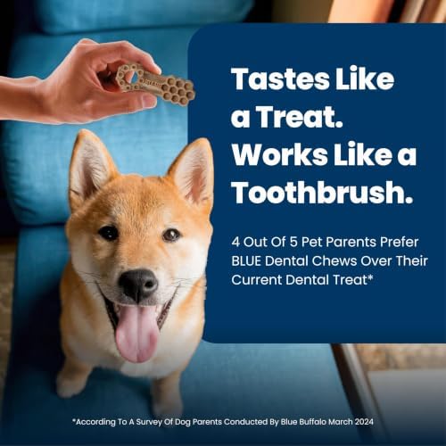 Blue Buffalo Chicken & Spearmint Medium Dental Chews, 34.5 oz, 42 ct