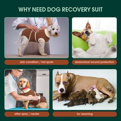 Kuoser Dog Recovery Suit, Female Male Spay Neuter Surgery Suit, Brown, XL