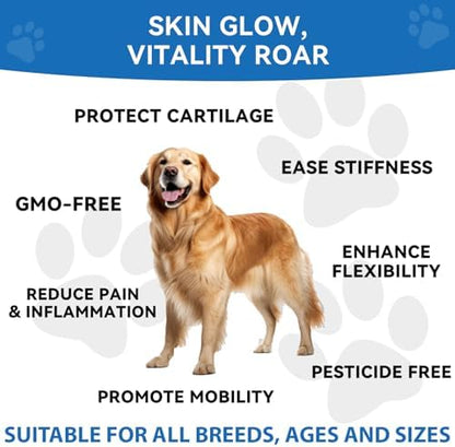 Biotic’s Gain Dog Joint Supplement | Glucosamine for Dogs | 120 Soft Chews
