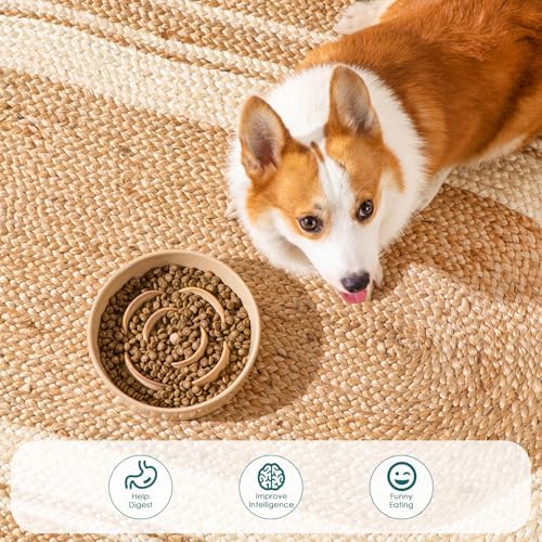 vancasso Ceramic Slow Feeder Dog Bowl, 1.5 Cup Puzzle Dish for Medium Breed