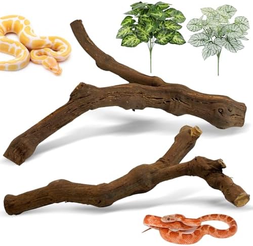 Snake Climbing Branch 2 Pcs Reptile Wood Branches Decor Wooden Ball Python Tank Accessories Bearded Dragon Terrarium Decorations Natural Forest Tree Trunk Log Habitat Ornament