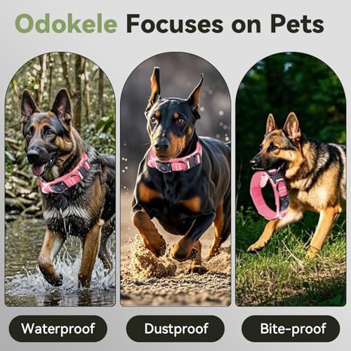 2026 Upgrade Waterproof Tactical AirTag Dog Collar, Built in AirTag Holder