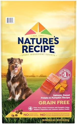 Nature's Recipe Grain Free Salmon Dry Dog Food, 24 lb. Bag