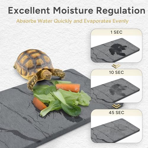 Reptile Basking Platform, 5.9''x9.8'' Diatomaceous Earth Basking Rocks