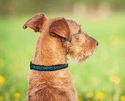 MLB Seattle Mariners Licensed PET COLLAR- Heavy-Duty, Strong, and Durable Dog Collar. Available in 29 Baseball Teams and 4 Sizes