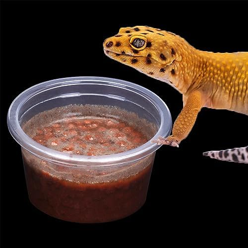 AIICIOO Gecko Feeder Ledge Cup 1oz Plastic Bowls 50 Pack Reptile Food Feeder Water Dish Ledge Accessories Bowls for Crested Gecko Lizards Chameleon Spiders Snake Frogs