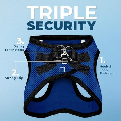Best Pet Supplies Voyager Step-in Air All Weather Mesh Harness and Reflective Dog 5ft Leash Combo with Neoprene Handle, for Small, Medium and Large Breed Puppies - Royal Blue/Black Trim, X-Large
