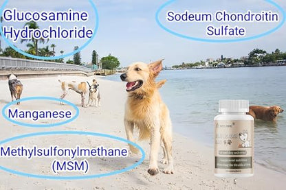 Hip and Joint Supplement for Dogs- with Glucosamine, Chondroitin, and MSM,120 Chewable Tablets, Chicken Flavor, Dog Joint Supplement，Joint Support Supplement for Dogs