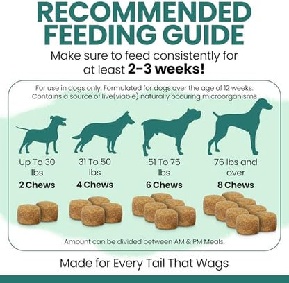 12-in-1 Dog Vitamin and Supplement Chews, 240 Ct - Senior and Puppy Vitamin