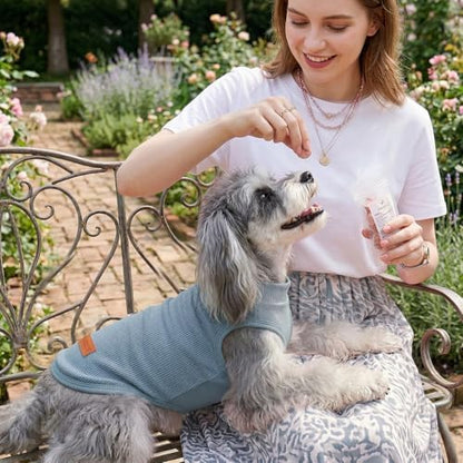 2Pack Dog Shirts Lightweight Waffle Dog Shirt for Small Dogs Sleeveless Dog Shirt for Small Medium Boy Girl Dogs Cozy & Breathable Pet Vest