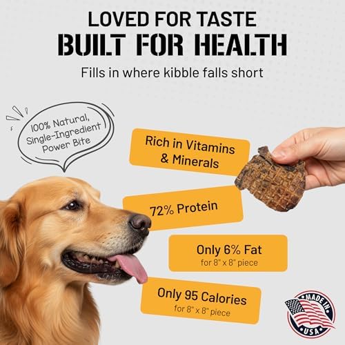 Dog Chits Lamb Lung Fillets Dog and Puppy Treats - Low Fat, High Protein Single Ingredient Dog Treat - Easy to Break Slices - Great for Training - Made in USA, Large 10 oz. Bag