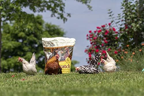 Manna Pro Ultimate Chicken Scratch Multigrain Treat, 10 lb Bag
