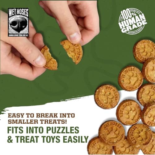 Wet Noses Organic Crunchy Dog Treats – All-Natural, Human-Grade, Non-GMO, Healthy Training & Delicious Snacks for All Dog Sizes & Breeds – Peanut Butter & Molasses (Grain Free), 5lb (Single Pack)