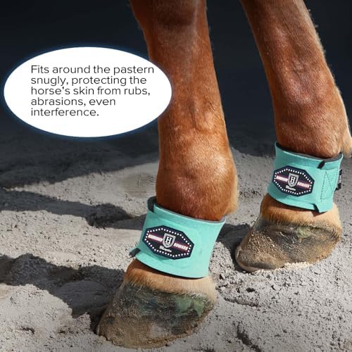 Harrison Howard Durable Shock-Absorbent Breathable Impact Protection Pastern Wraps for Horse Sold in Pairs Summer Mint