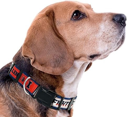 Pets First Collegiate PET Collar New Version Illinois Fighting Illini Dog Collar, Size Small. Best Sports Team Color for Dogs & Cats. A Shiny & Colorful Dog & Cat Collar Licensed by The NCAA