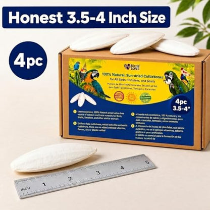 Birds LOVE 3.5-4″ Cuttlebone for Birds – 100% Natural Sun-Dried Calcium & Beak Conditioning Supplement for Parakeets, Budgies, Cockatiels, Finches & Canaries – 4 Pack with Holder – Made in Vietnam