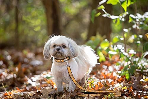NCAA PET String, Large, Tennessee Volunteers, Dog String, Shiny & Colorful String for Dogs & Cats Licensed by the NCAA, Old Version