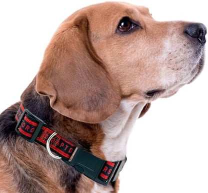 NEW & Improved Pets First NBA PET Collar Toronto Raptors Dog Collar, Size Large Basketball Team Collar for Dogs & Cats. A Shiny & Colorful Dog & Cat Collar Licensed by the NBA