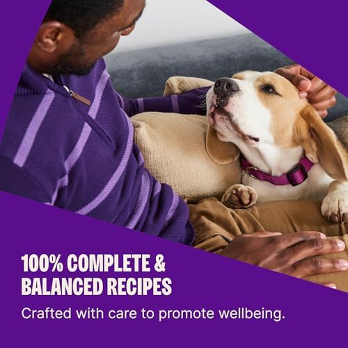 Wellness Complete Health Adult Dry Dog Food, Wholesome Grain Kibble, Natural, Chicken and Oatmeal Recipe, 26 lb Bag