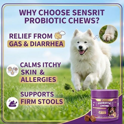 Probiotics for Dogs - 800M CFU Dog Probiotic Chews with Digestive Enzymes & Pumpkin | Seasonal Allergy, Itchy Skin & Immune Support for All Breeds - 90 Soft Chews, Chicken Flavor